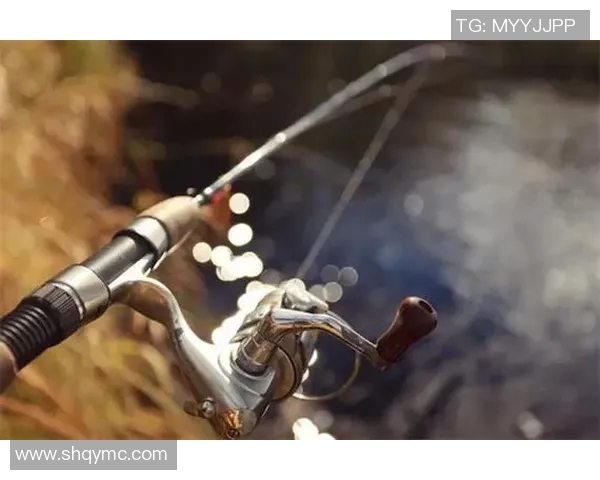 渔具创新与发展：从传统手法到现代科技的完美融合