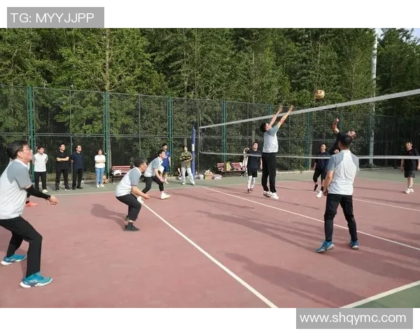 成都排球队的默契配合与战术探讨聚焦排球的团队精神与协作能力