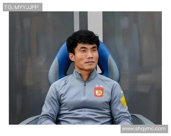 郑智效力过的德甲球队故事回顾
