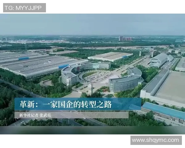 杭州排球队整体压制革新之路:从战术到团队协作的全面提升与探索 杭州排球队整体压制革新之路:从战术到团队协作的全面提升与探索
